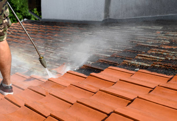 Best Deck Cleaning Services  in Centreville, MS
