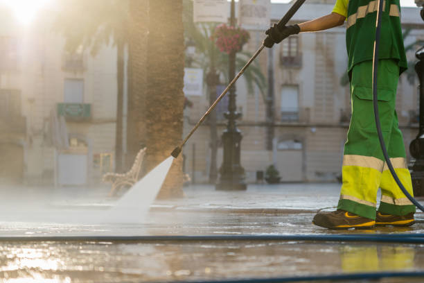 Best Exterior Home Cleaning  in Centreville, MS