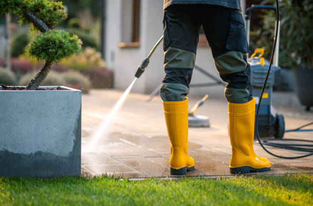 Local Pressure Washing Services in Centreville, MS